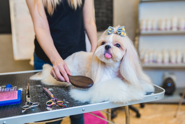 Paws Salon